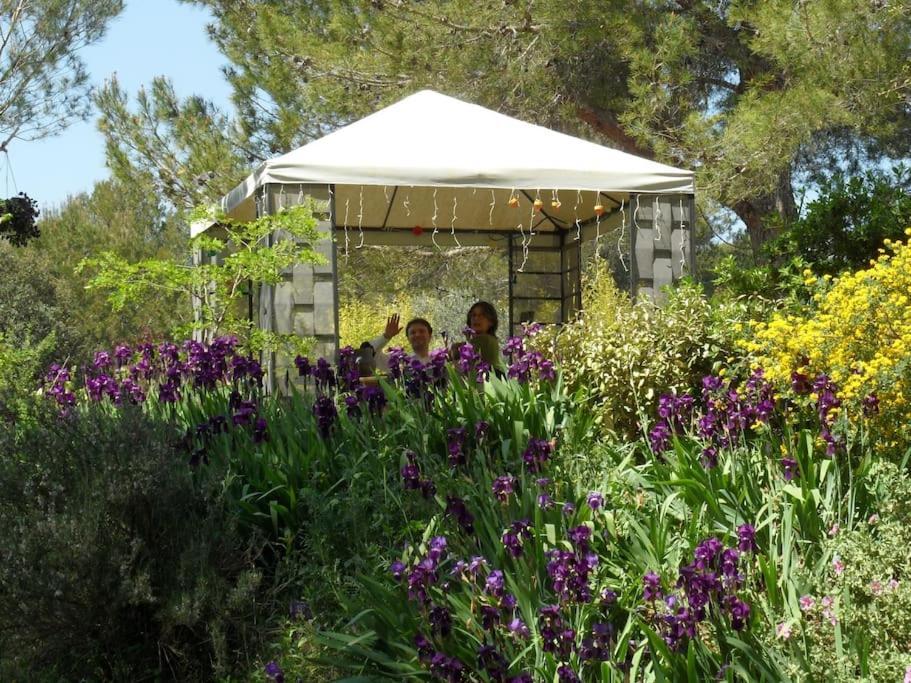 L'Oliveraie En Provence Lambesc Exterior foto